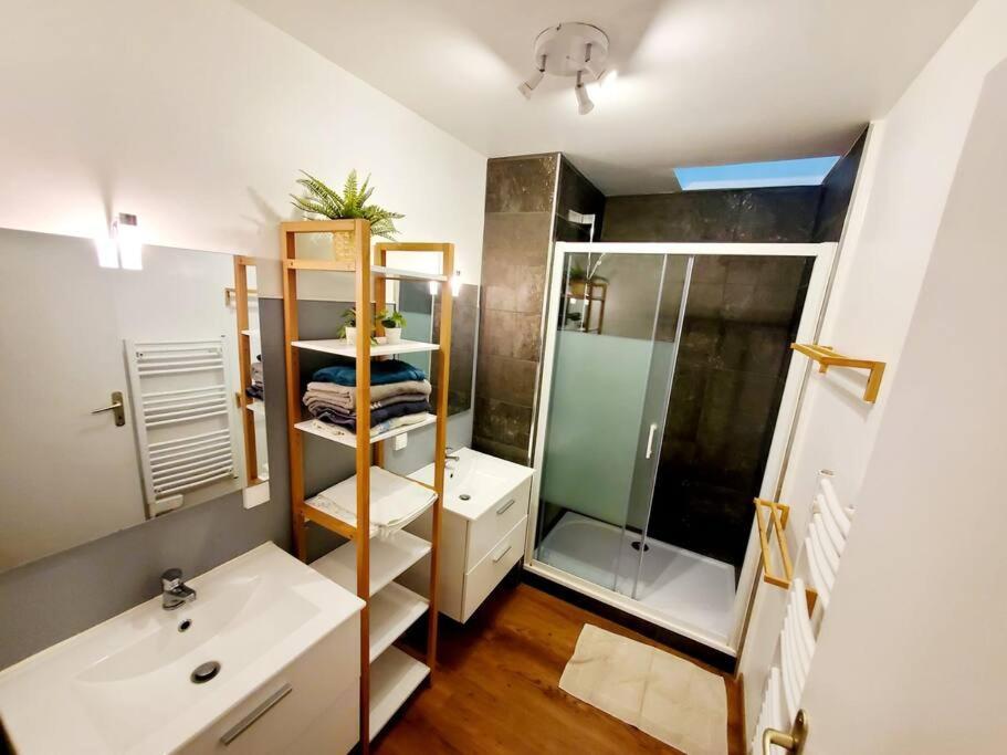 Appartement Chaleureux Au Pied De La Cite Avec Parking Carcassonne Zewnętrze zdjęcie